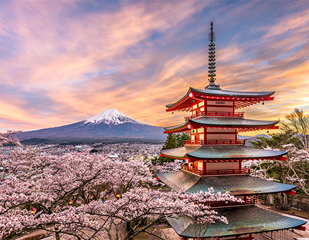Workshop: Como abordar o mercado do Japão? 