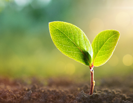 Neutralidade climática em 2050
