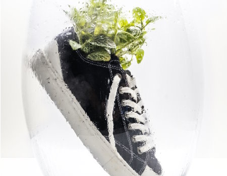 Mais de 100 empresas de calçado assumem Compromisso Verde com o Planeta